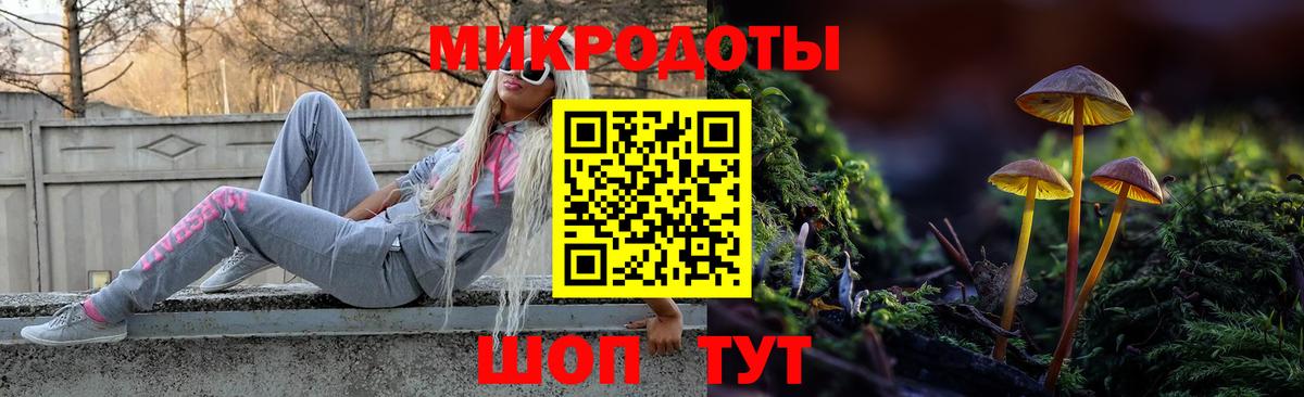 Псилоцибиновые грибы GOLDEN TEACHER  Вход с VPN  Вятские Поляны  Галлюциногенные грибы MAGIC MUSHROOMS 